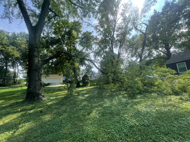 Overnight Storms Batter Kansas City Area, Causing Widespread Damage and Power Outages