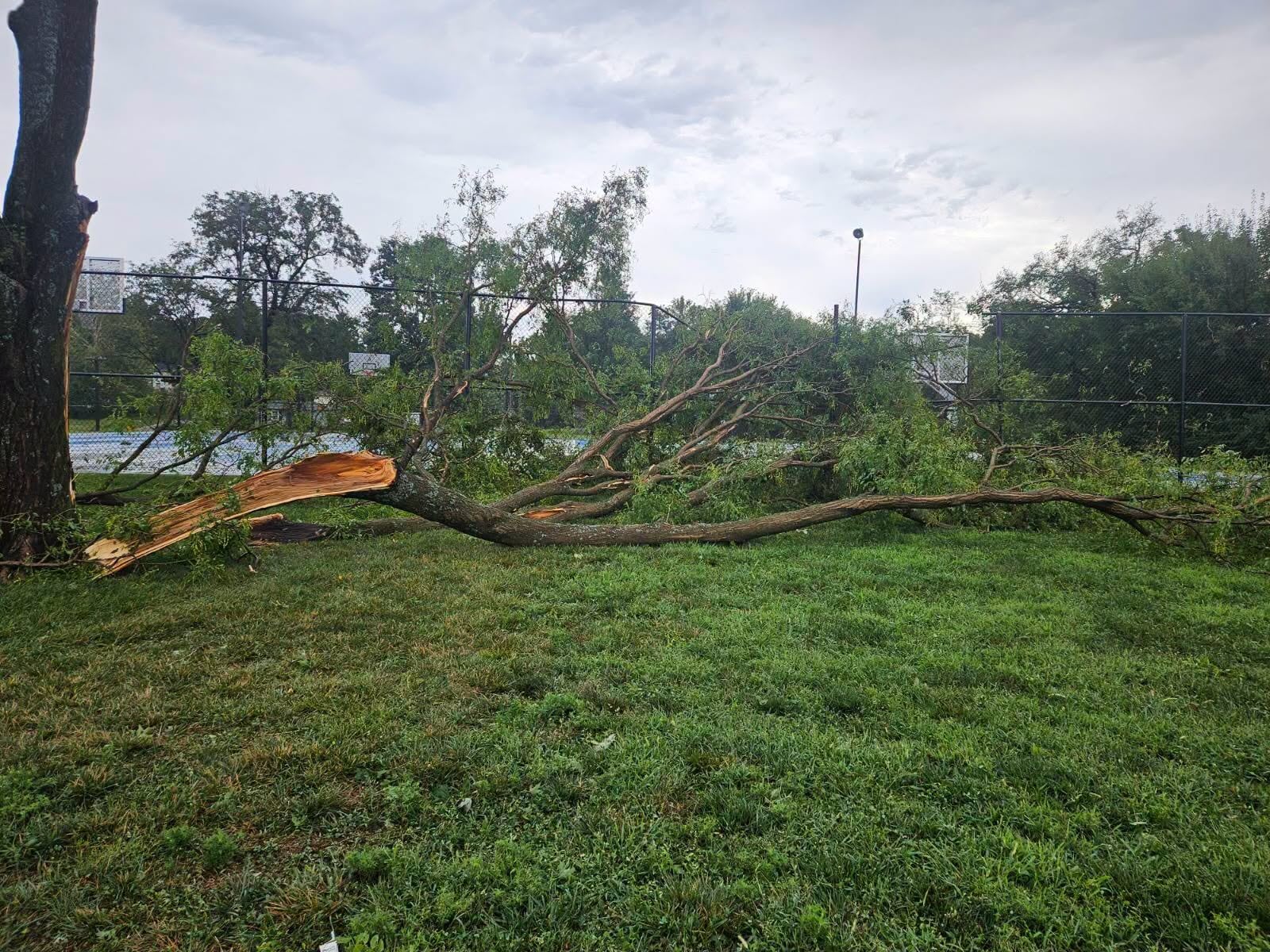 Kansas City, Kansas Extends Recycling Center Hours for Storm Debris Disposal