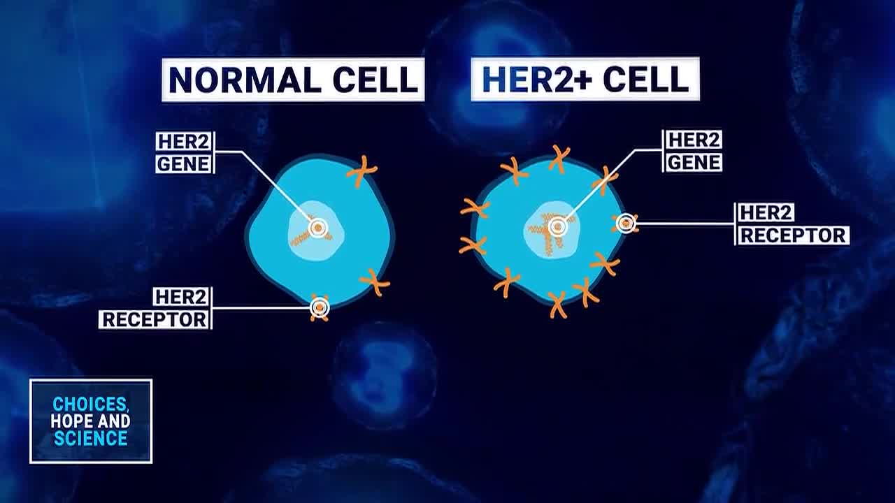 Choices, Hope and Science: Daily pill helps Stage 4 lung cancer survivor