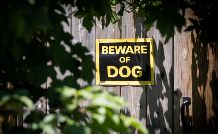 Child Fatally Attacked by Family Dog in Sulligent, Alabama
