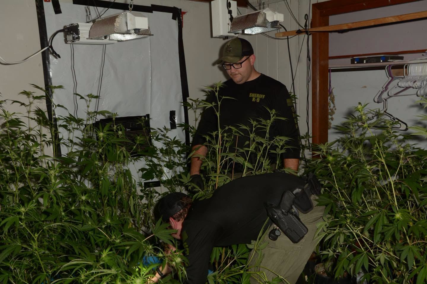 Huntland Resident Charged After Marijuana Plants Found During Warrant Execution