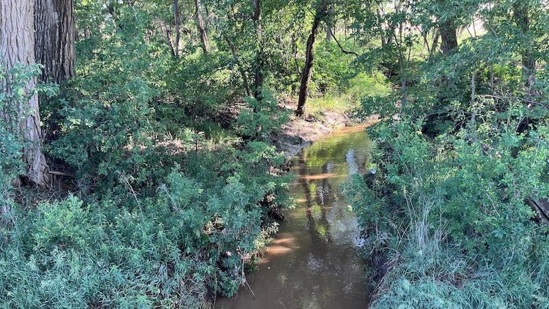 The Mitchell County Sheriff's Office said a boy was pulled from a creek early Friday morning.
