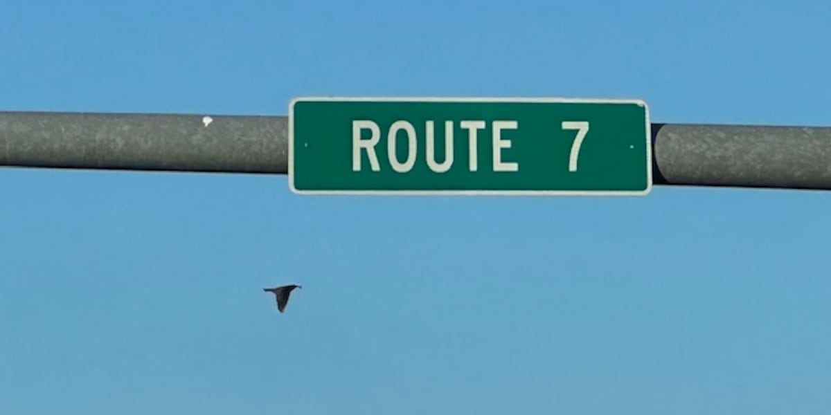 Road work to close busy Blue Springs highway for months