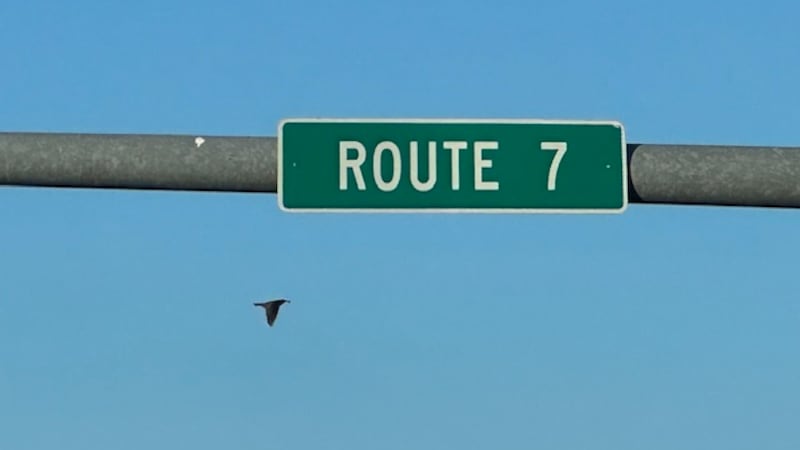 This picture shows a Route 7 Highway sign in Blue Springs on an unknown date.