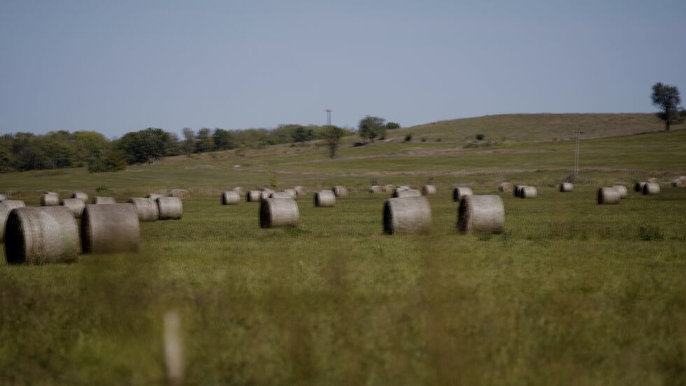 A 2020 study by the Missouri Hospital Association found that 57 of those 99 rural counties are...