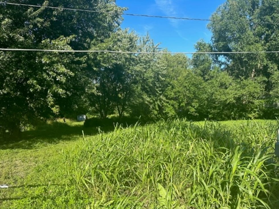 An empty lot in Jackson County was assessed at $356,270.
