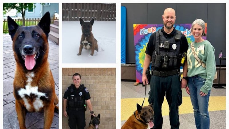 K9 'King' passed due to a debilitating health concern