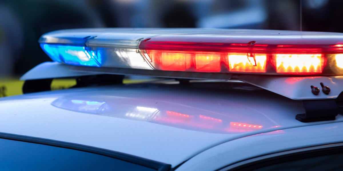 Coverage image for: Missouri man shot, beaten after two men run over his cat