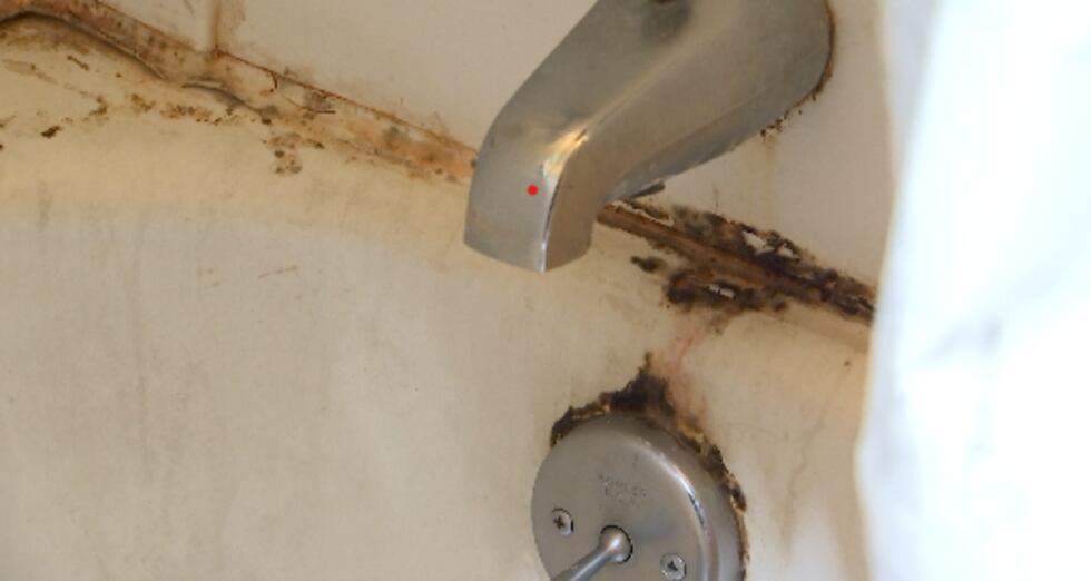 Tenants of Independence Towers apartments are fed-up with their poor living conditions.