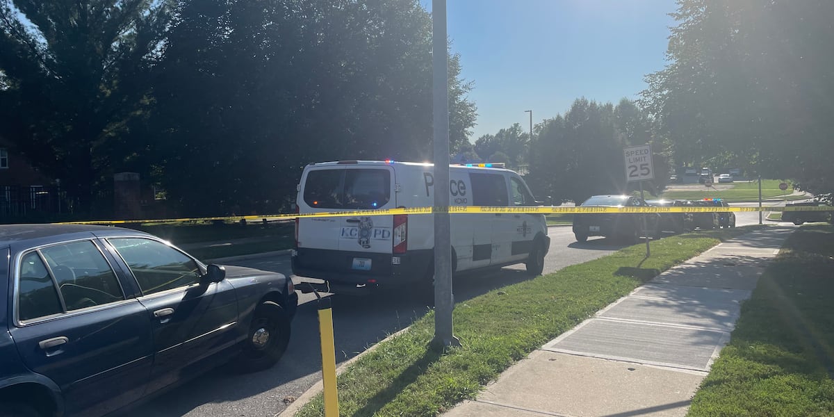 Assault News Image