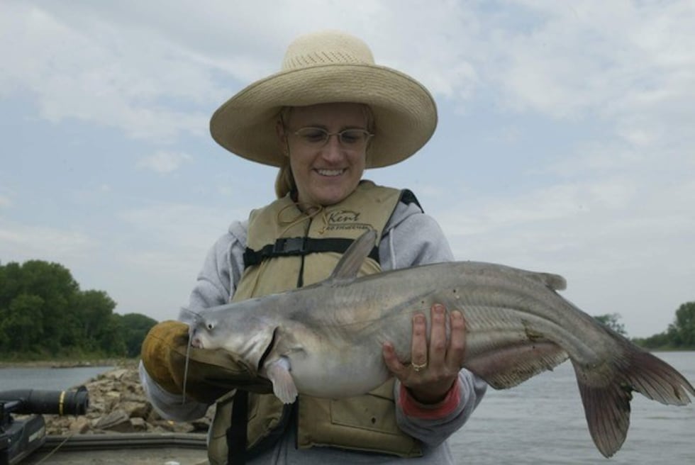 Catfish can be caught with a variety of alternative methods, including trotlines, jug lines...