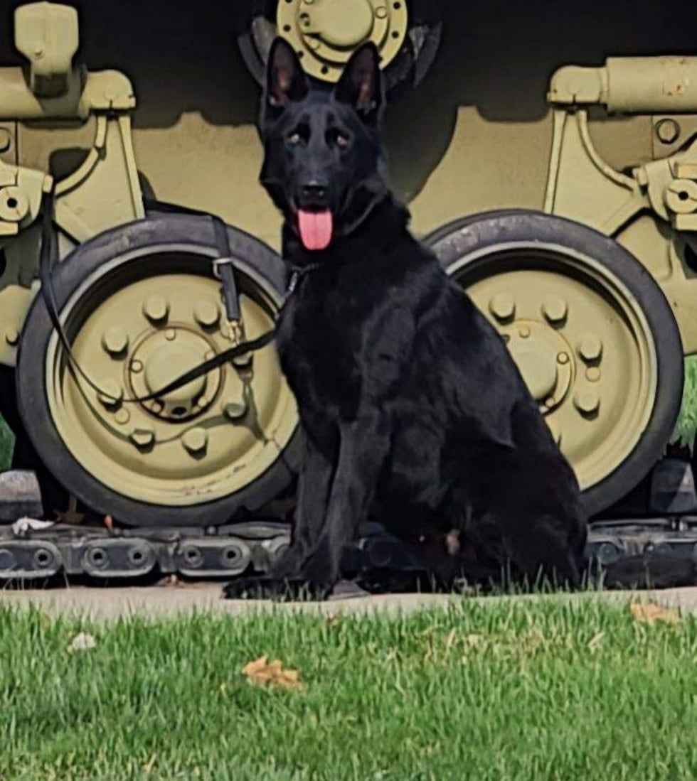 K-9 Shadow