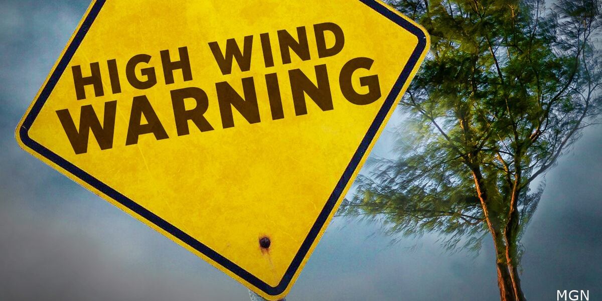 Thousands without power as wind whips through Kansas City metro Thousands without power as wind whips through Kansas City metro