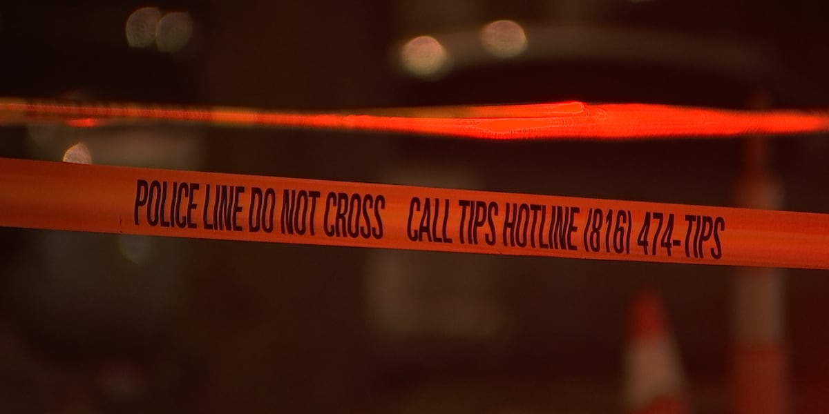 Assault News Image