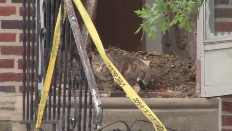 Two young children were found living among dead animals and "squalid" conditions on Tuesday.