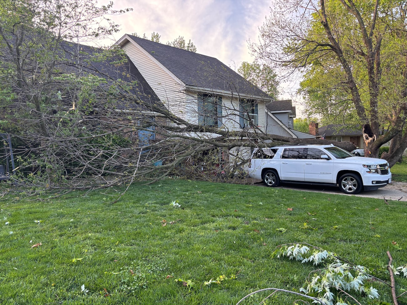 Tree Knocks PHOTOS: Thursday night storms knocks down trees, damages homes in Kearney