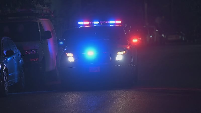 Teenager killed, found inside car early Sunday on Michigan Ave.