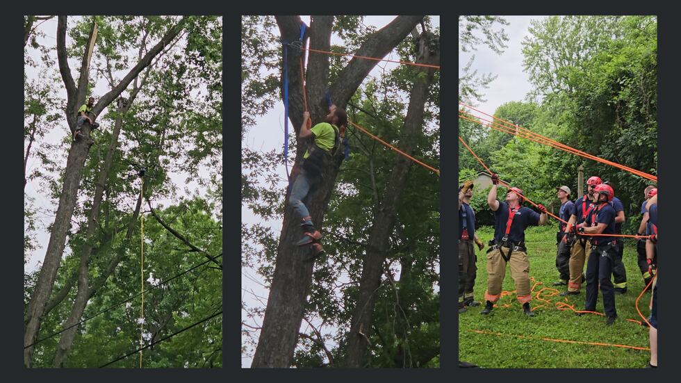 Fire Department Tree Rescue Fire department rescues Raytown tree trimmer stranded 65 feet above ground