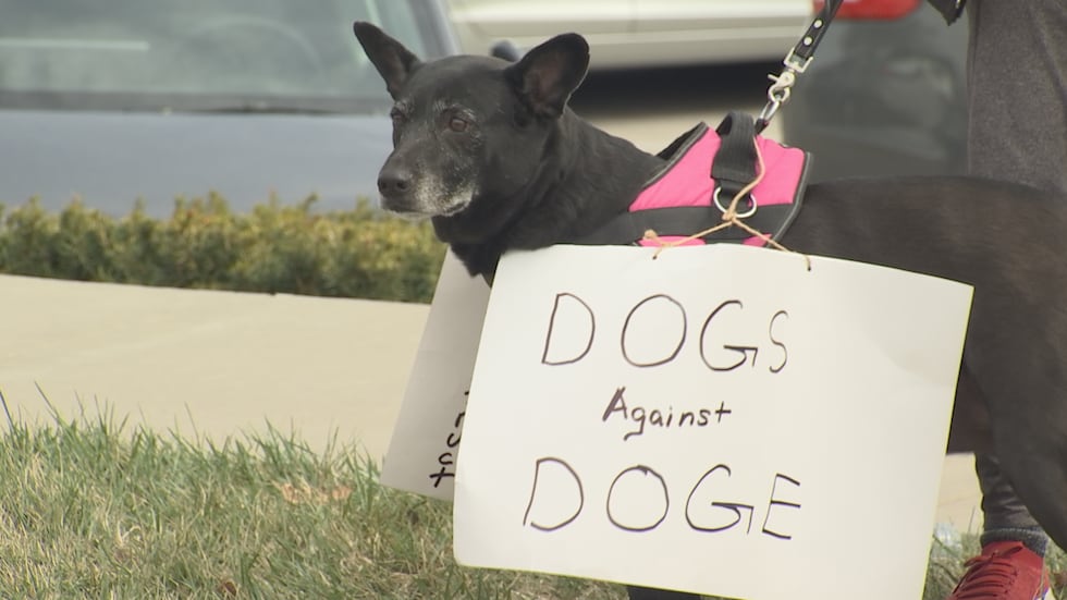 Demonstrators gathered near the Tesla dealership on State Line Road near 103rd Street to voice...