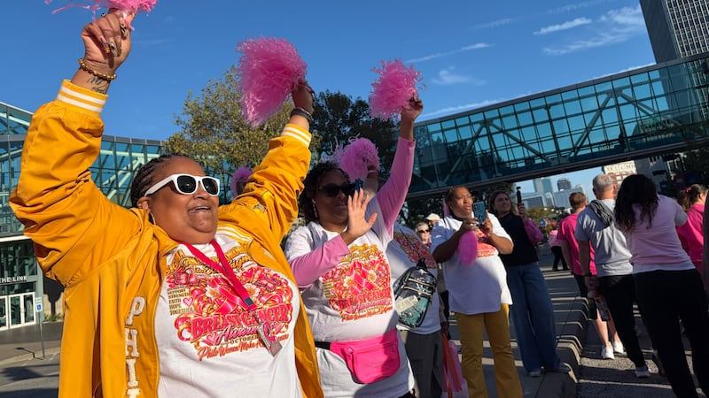 Hundreds of participants wore pink shirts as they took part in the three-mile walk.