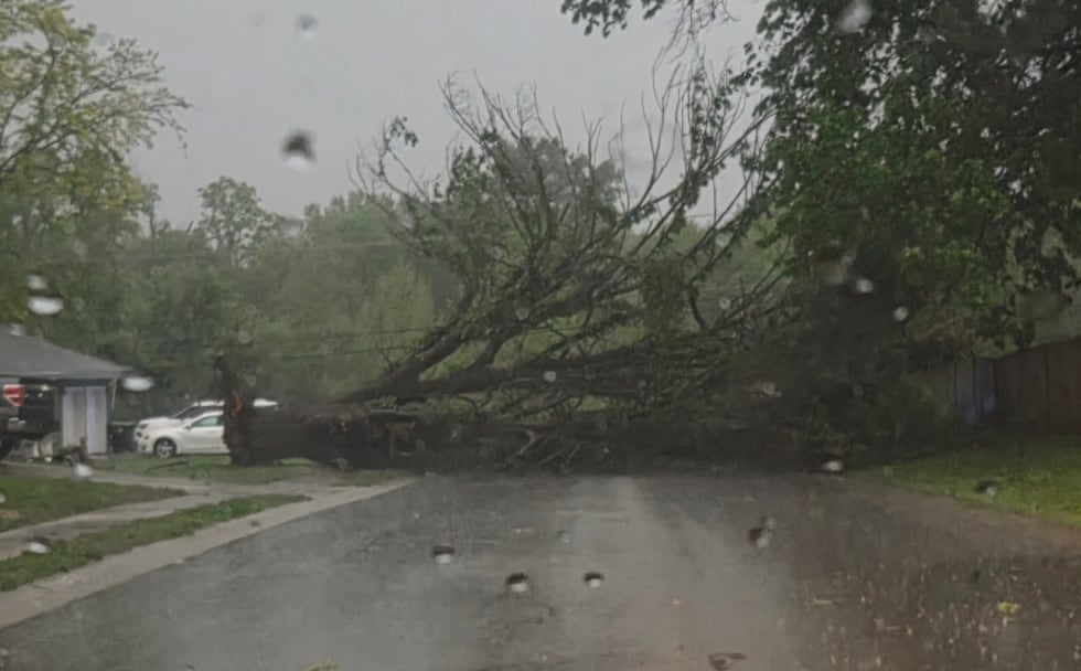 Tree collapse in Harrisonville, Mo.
