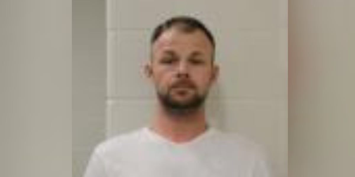 Coverage image for: Lee’s Summit man charged after parental kidnapping leads to Amber Alert