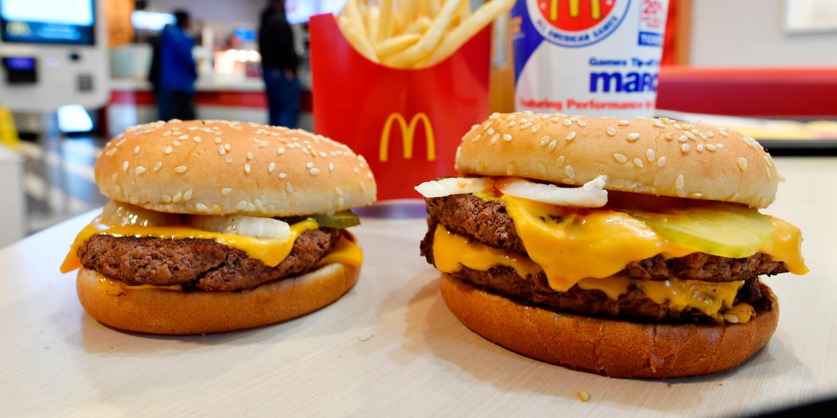 E. coli bacteria under a microscope