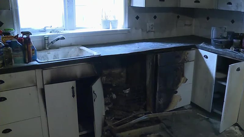 The Anderson family ran their dishwasher overnight as they were asleep and woke up to a...