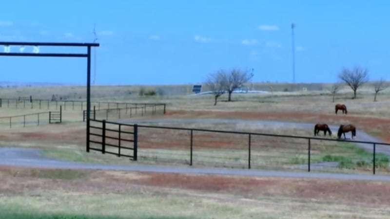 An Oklahoma ranch is reeling after dozens of its horses died over a week. The Elk County,...
