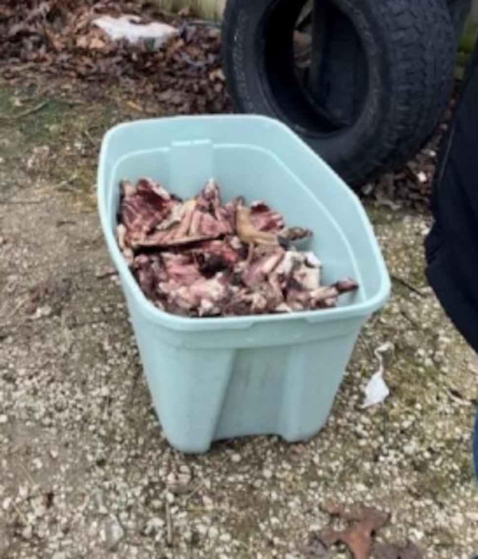 Inspectors found bins of raw goat and deer parts at Sarah Walborn’s kennel that had a foul...
