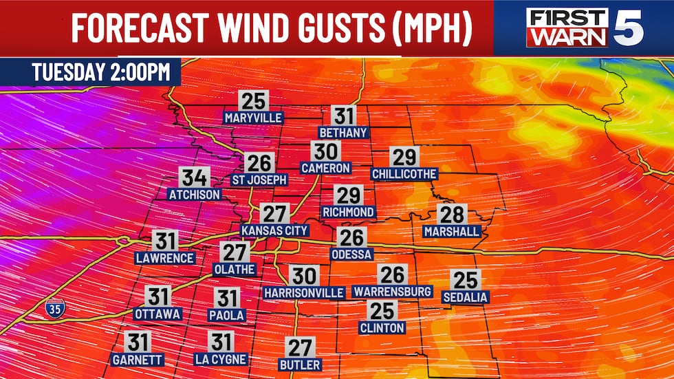 Forecasted wind gusts on Tuesday
