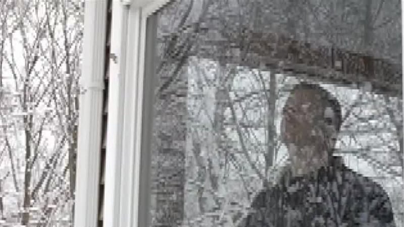 Seasonal Affective Disorder (SAD) is a form of depression that specifically takes place from...