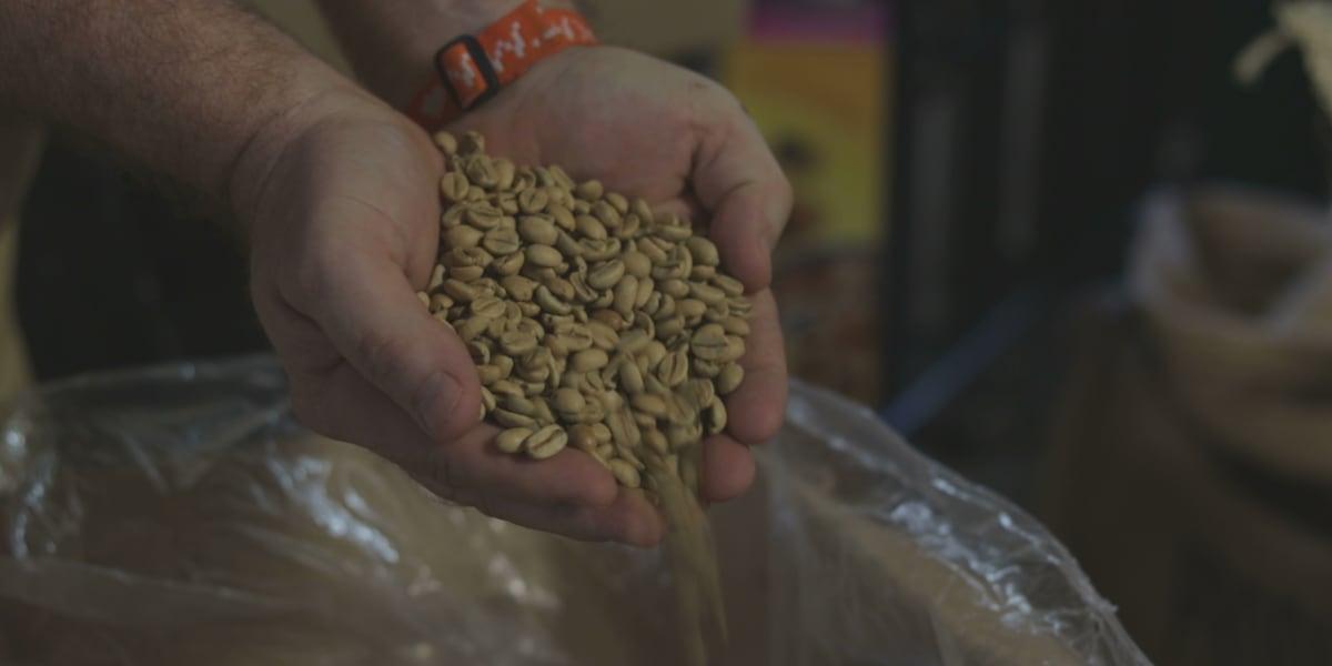 Missouri coffee roasters face rising prices