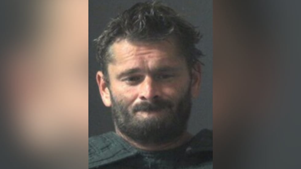 Authorities released a mug shot of James Williamson.