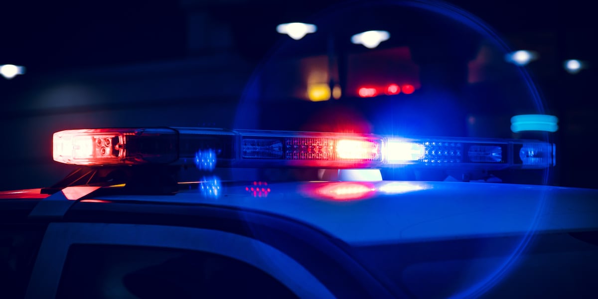 Arrest News Image