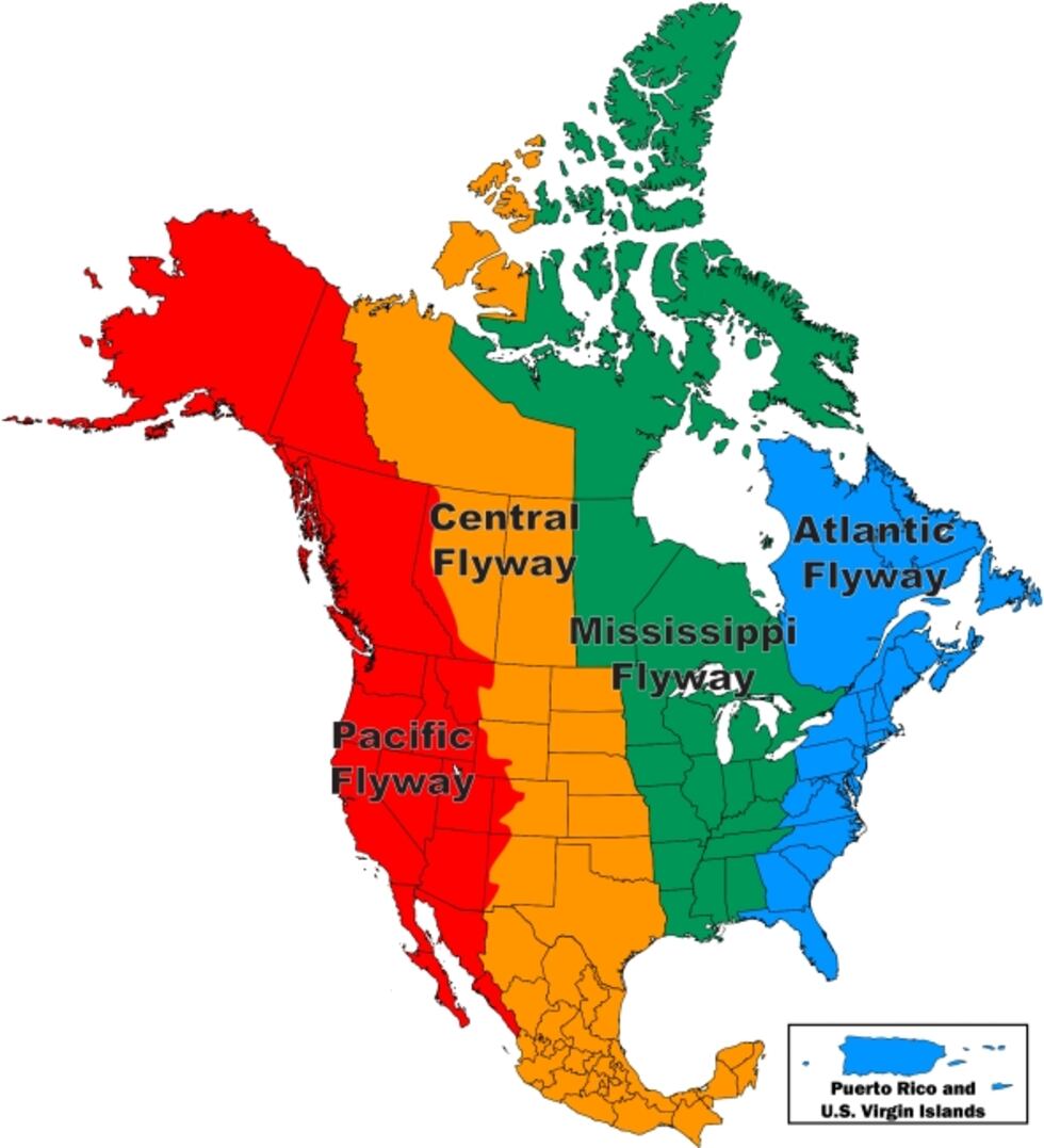 Migratory bird program istrative flyways state and province map.