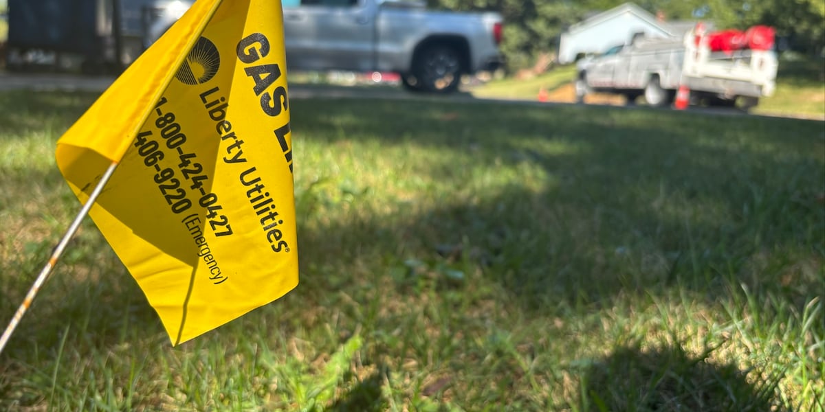City of Lexington wants utility companies to establish new underground digging plans