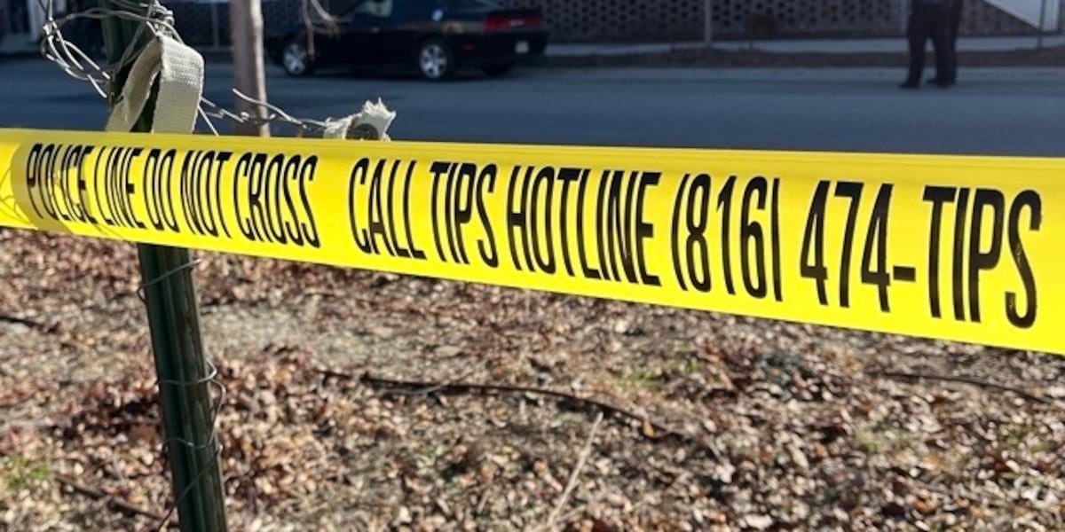 Shooting News Image