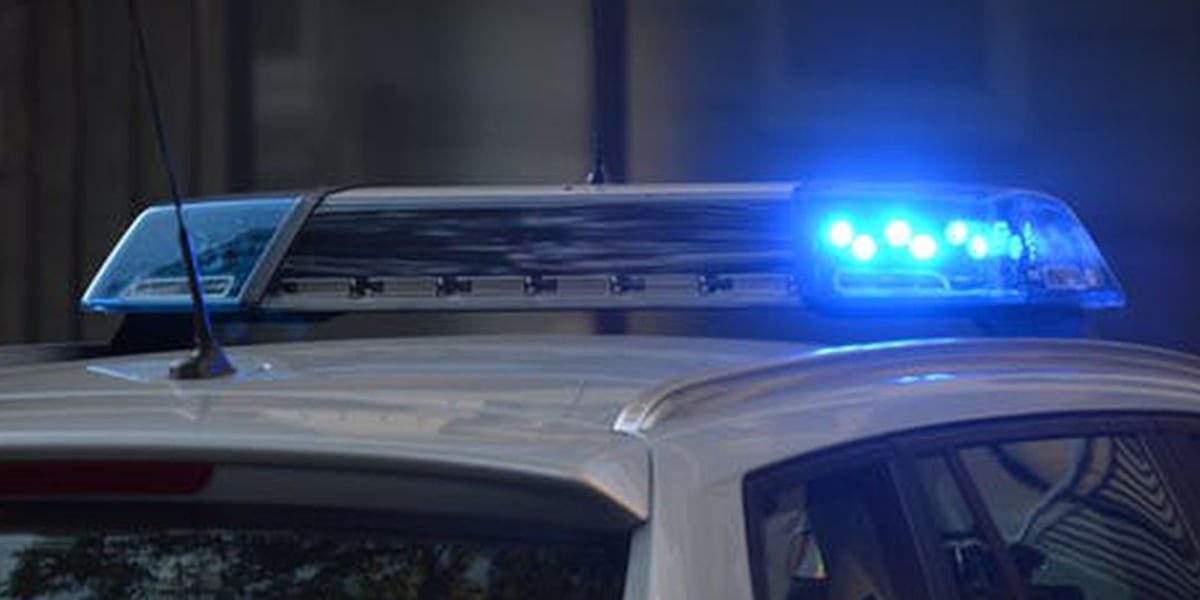 Arrest News Image