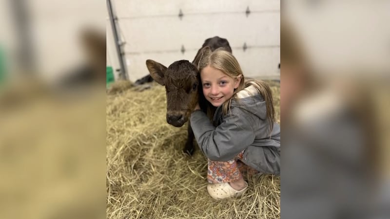 Ainsley Hastings, 9, worked to save a calf named JB from dying after tetanus attacked his...