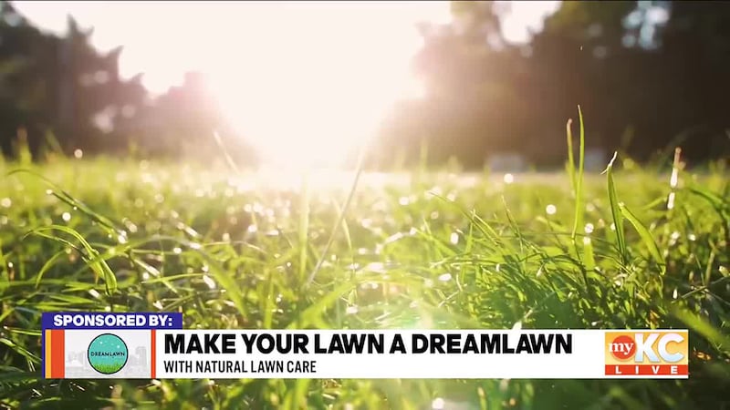 The experts at DreamLawn share the tips to keep your lawn looking great, and how their...