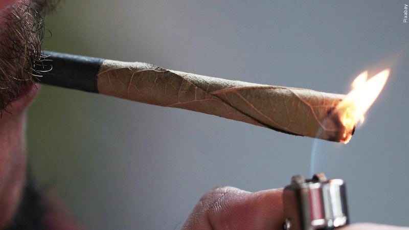 A new study suggests marijuana use is harmful to your heart regardless of how it is consumed.