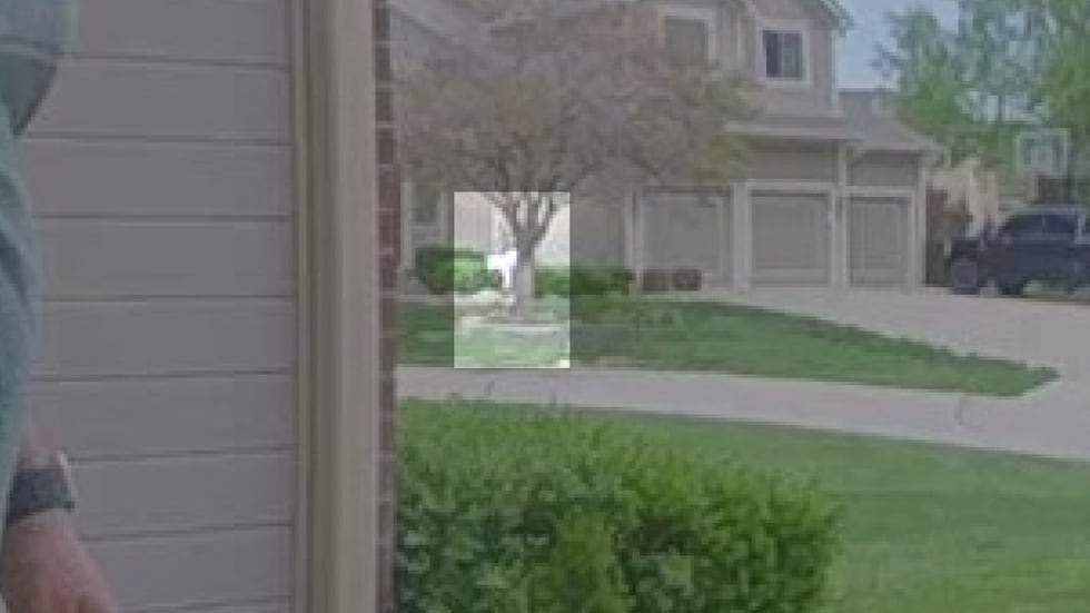 A surveillance video from a Northland home shows an individual who neighbors said told them to...