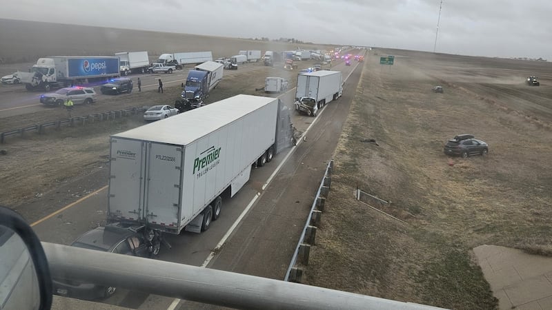 A pileup involving dozens of vehicles resulted in multiple fatalities Friday afternoon and has...