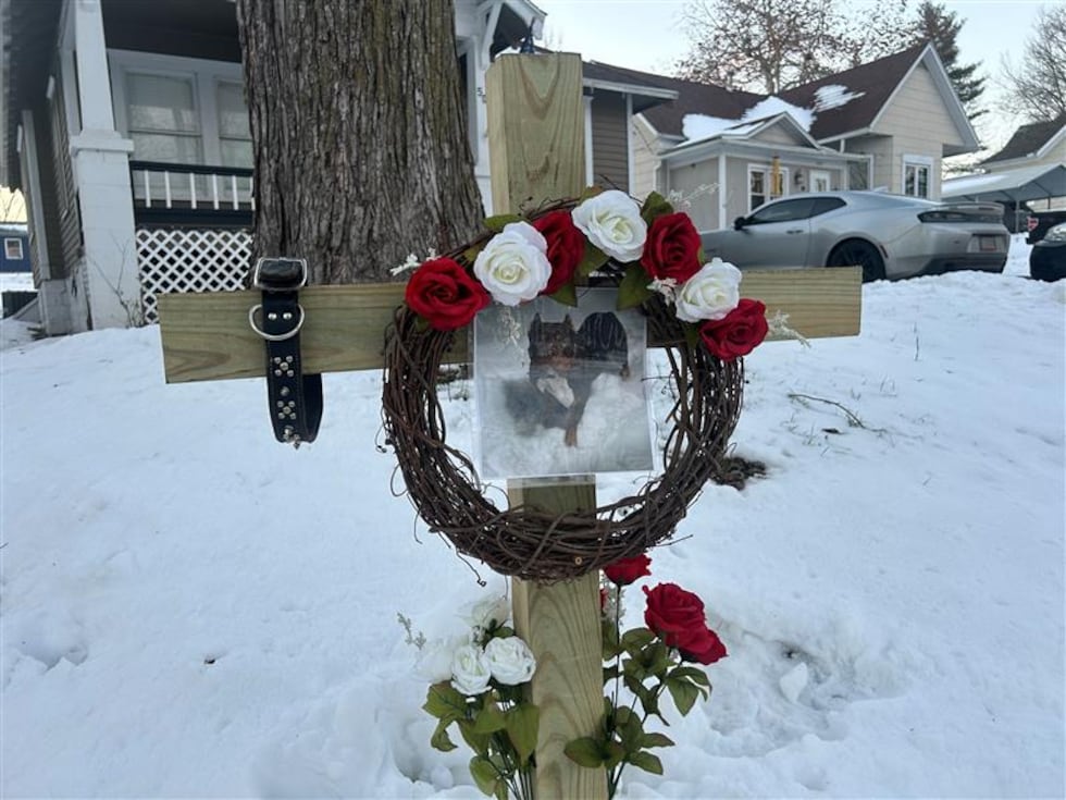 Layton Sprouse and Lauryn Webb said Dior, an American bully breed, was known to get out of the...