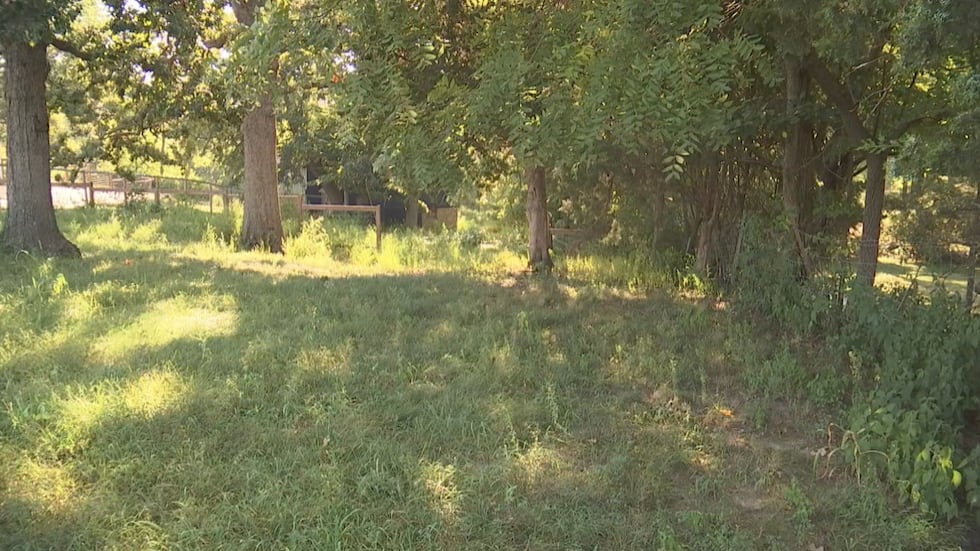 This empty lot was assessed at $356,270 in Jackson County. The owner appealled and it was...