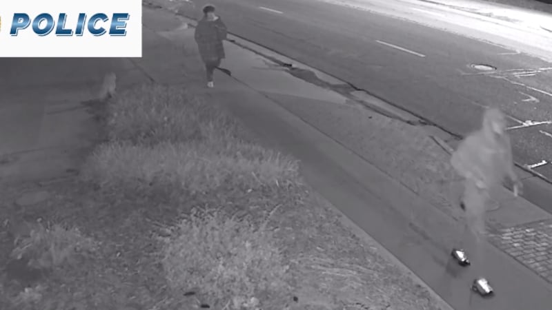 The video has since been removed since the suspects were successfully identified. In an...