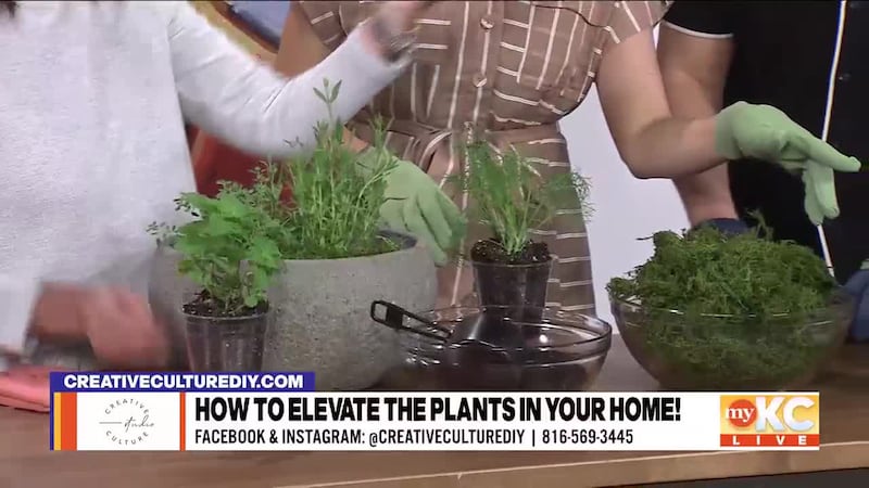 Dell Ann Upp with Creative Culture walks Kerrigan and Shane through a DIY herb garden craft...