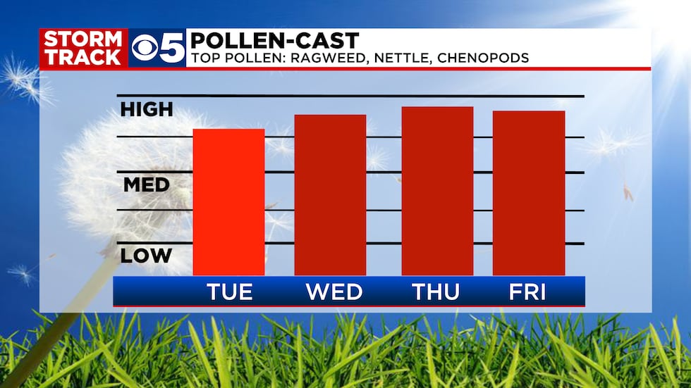 Pollen-Cast