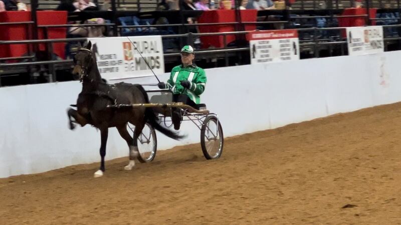 Jim Modica and Annie compete in the roadster cart competition on May 30, 2024.